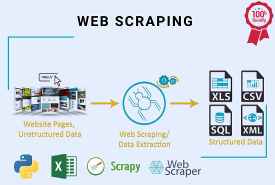 Image du produit Python Developer, Backend Developer & Web Scraper